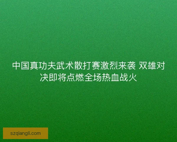 中国真功夫武术散打赛激烈来袭 双雄对决即将点燃全场热血战火
